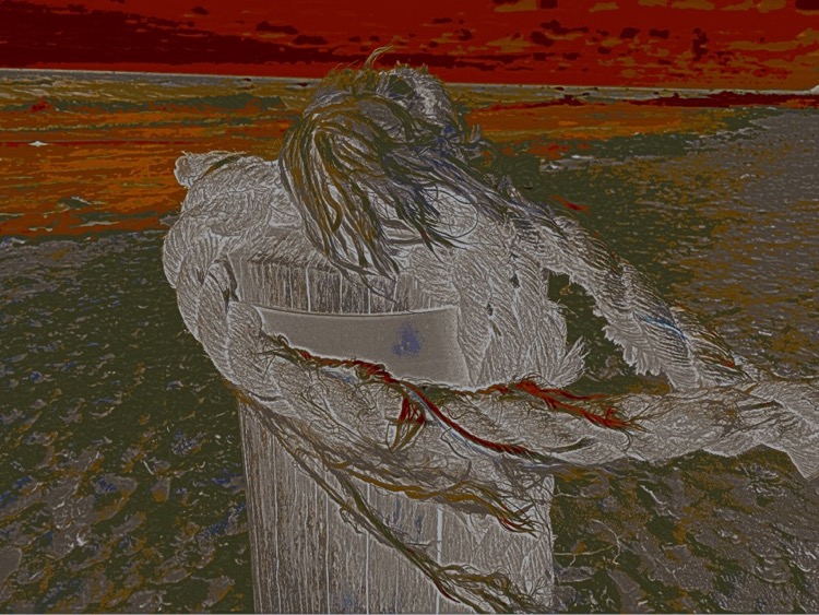 Loading Image