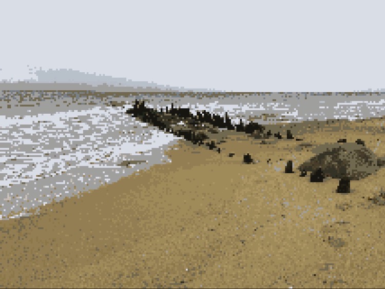 Loading Image