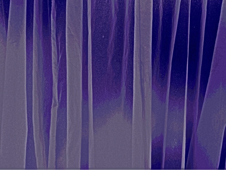 Loading Image