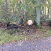 STurmschaden2