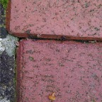 P1540003