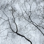 IMG_4170
